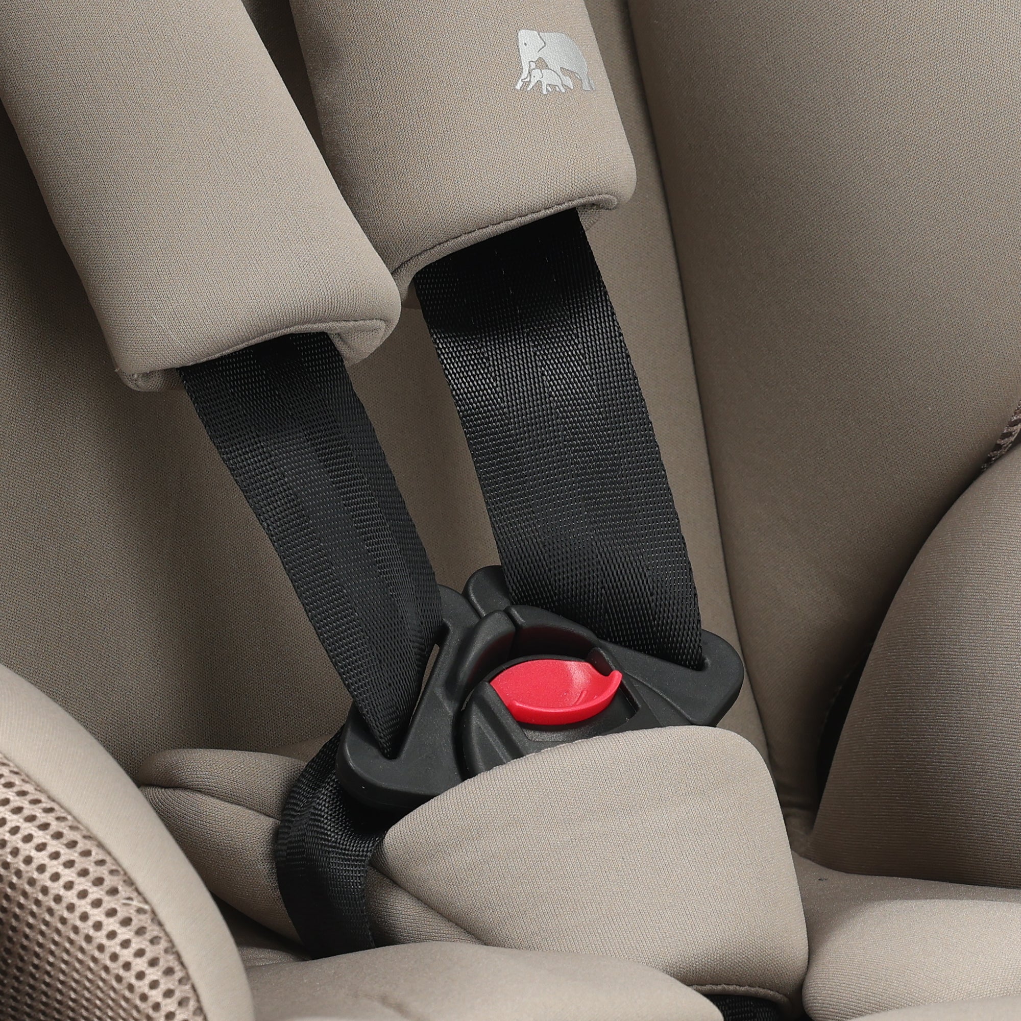 Silla de coche Carter Basic i-Size 76-150 cm - 9-36 kg - Truffle Sand - Image 10