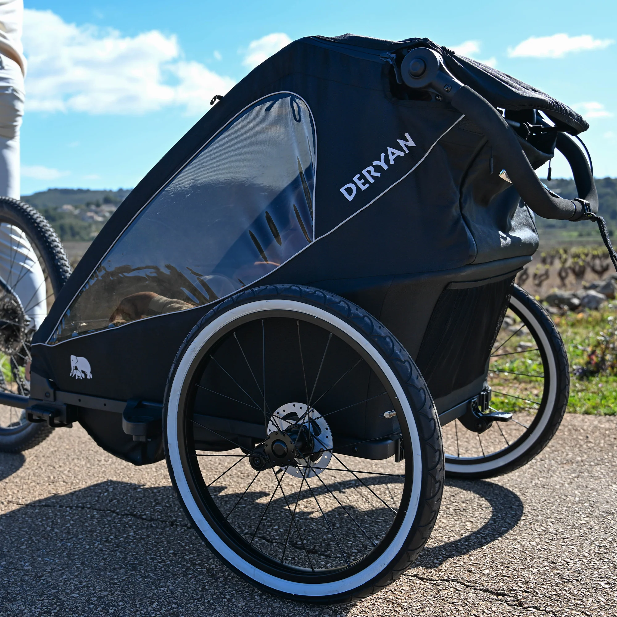 Carro de bicicleta de lujo V2 - Cochecito para pasear - Cochecito para correr Negro - Image 11